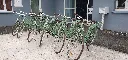 20250321_113852.webp