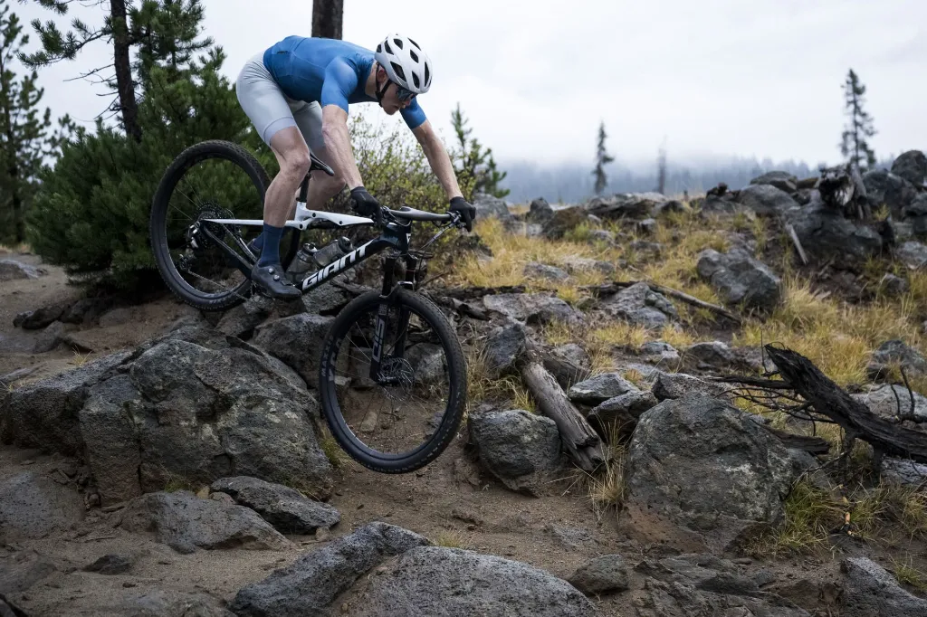 Giant Anthem SL 2 15.webp