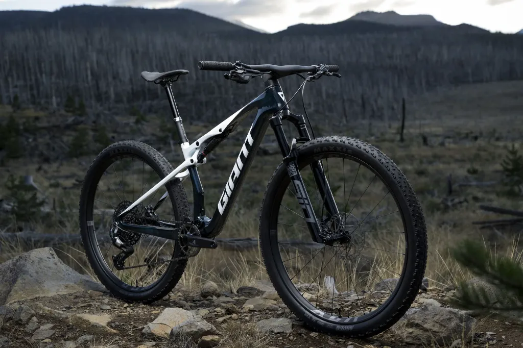 Giant Anthem SL 2 12.webp